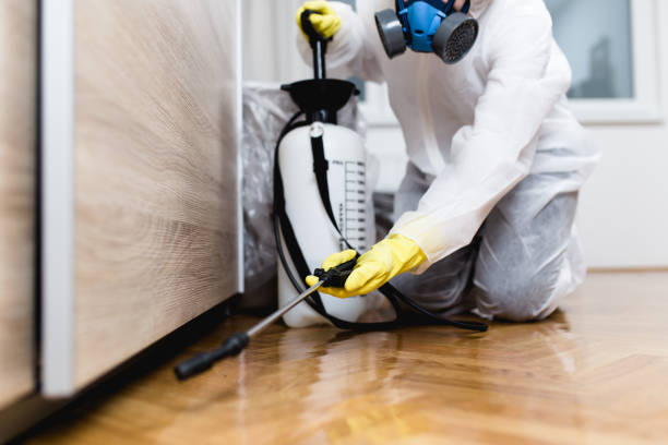 Best Commercial Pest Control Services  in Delhi, LA