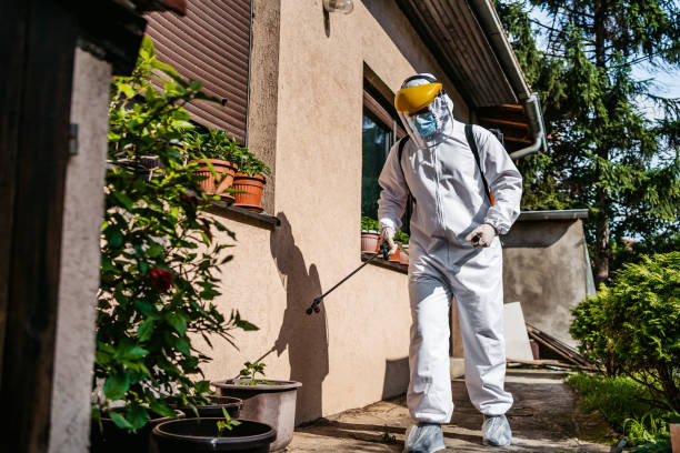 Best Mosquito Control Services  in Delhi, LA