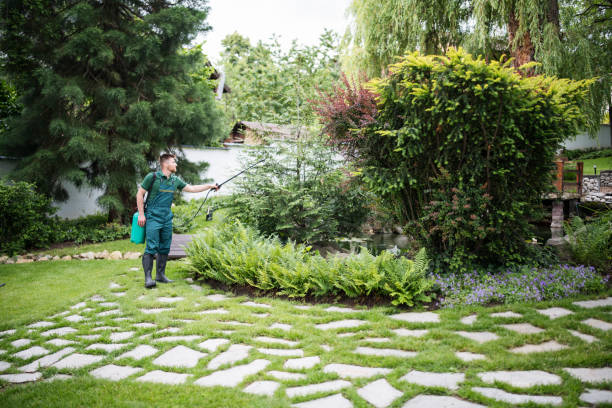 Best Best Pest Control Companies  in Delhi, LA