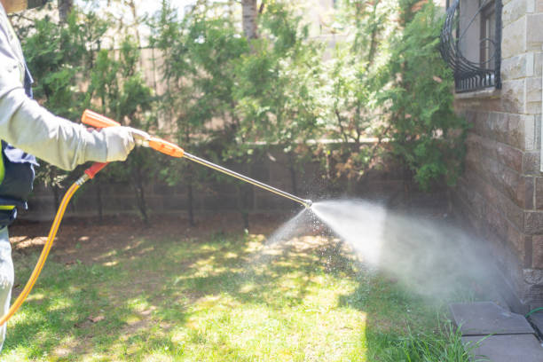 Best Flea Control Services  in Delhi, LA