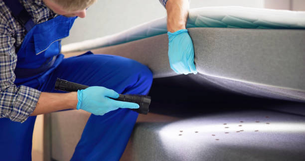 Best Pest Removal Services  in Delhi, LA