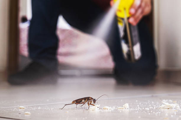 Best Pest Control Near Me  in Delhi, LA