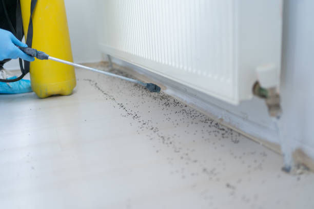 Best Pest Control Treatment  in Delhi, LA