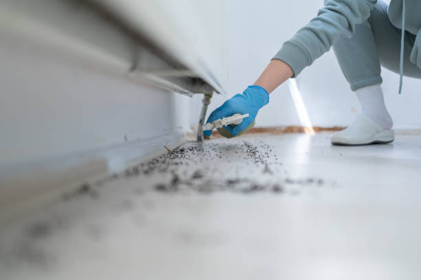 Best Pest Prevention Services  in Delhi, LA