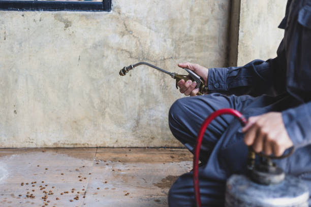 Best Residential Pest Control  in Delhi, LA